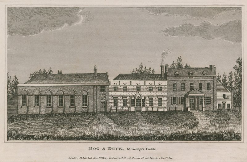 Kutya és kacsa, St Georges Fields, Lambeth alkotó: English School