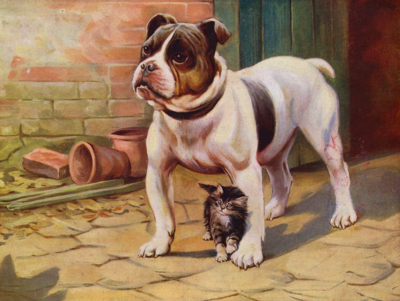 Kutya és cica (színes litho) alkotó: English School