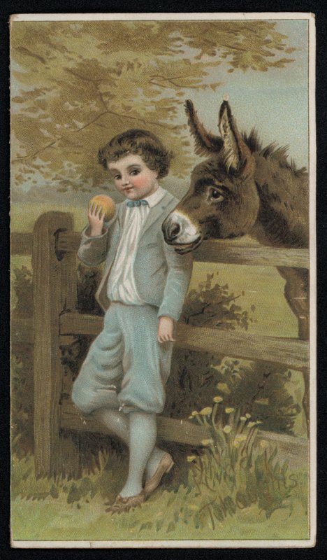Szamár néz egy fiút egy almával, üdvözlőlap. (chromolitho) alkotó: English School