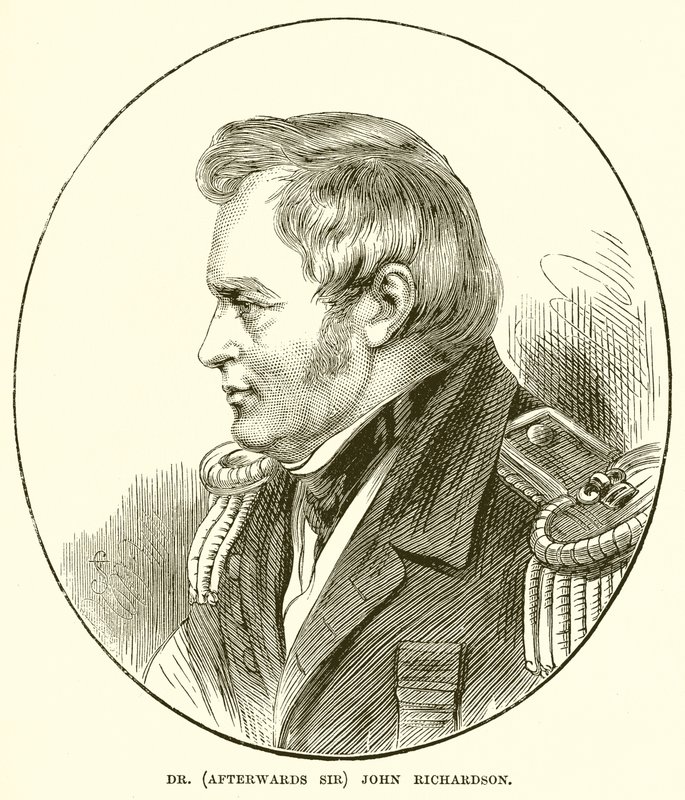 Dr. (Utána uram) John Richardson alkotó: English School