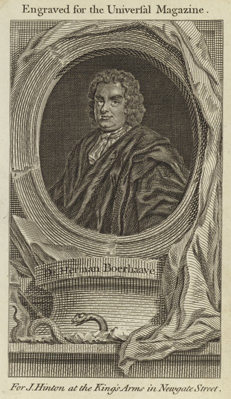 Dr. Herman Boerhaave alkotó: English School