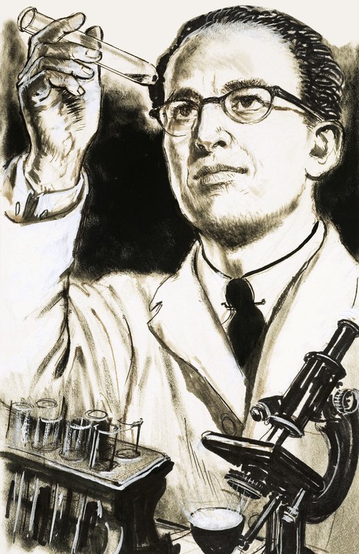 Dr. Jonas Salk, a gyermekbénulás elleni védőoltás megalkotója egy kémcsőre néz alkotó: English School