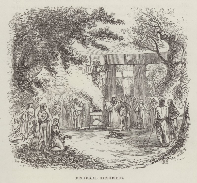 Druida áldozatok (metszet) alkotó: English School