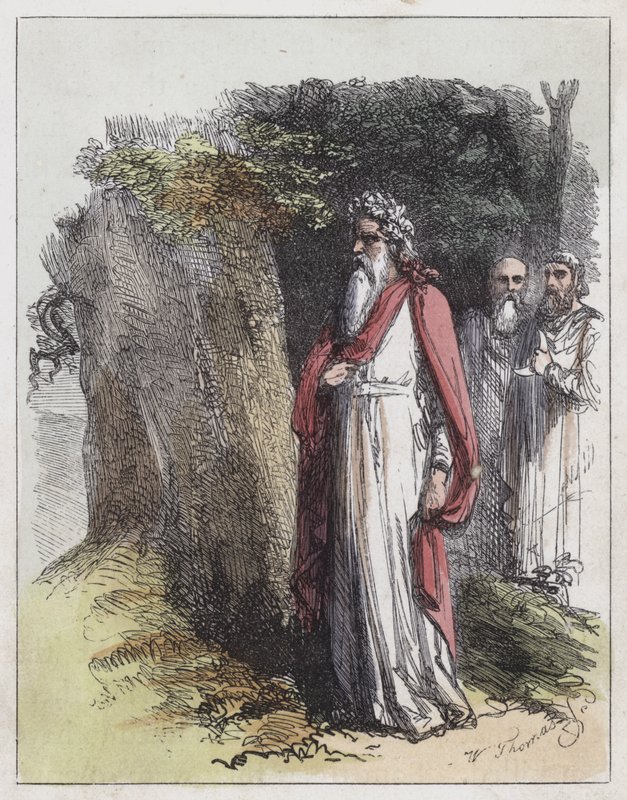 Druidák (színes metszet) alkotó: English School