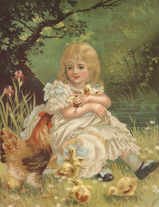 Kacsák (chromolitho) alkotó: English School
