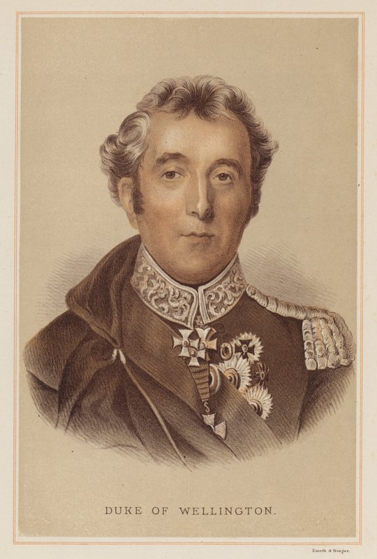 Wellington herceg (színes litó) alkotó: English School