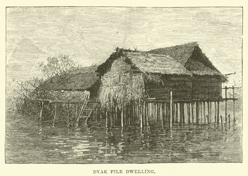 Kacsahéj Lakás alkotó: English School