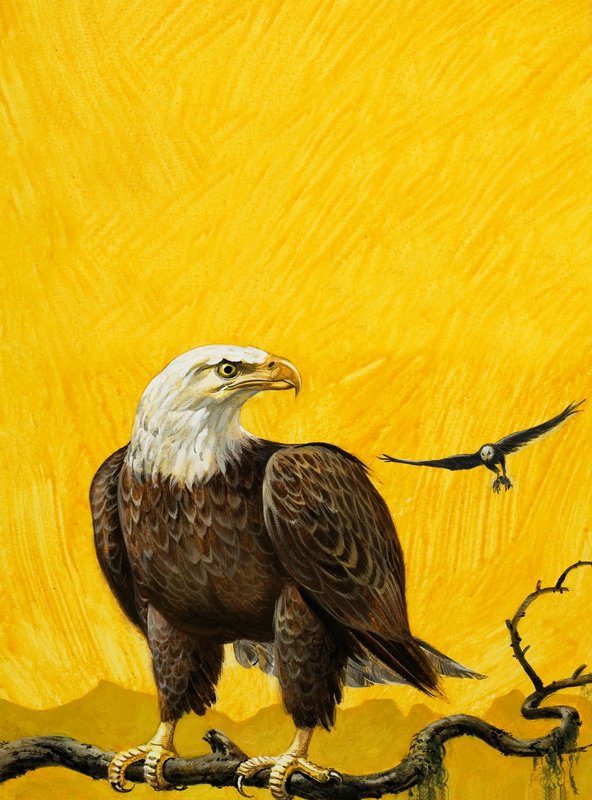 Eagle alkotó: English School