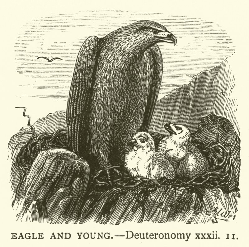 Eagle and Young, Deuteronomy, xxxii alkotó: English School