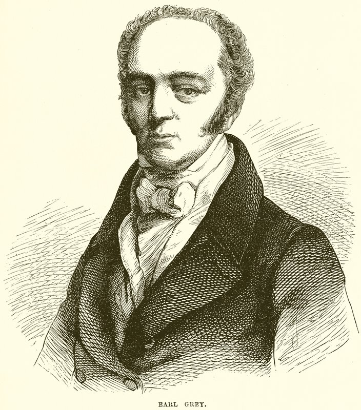 Earl Gray alkotó: English School