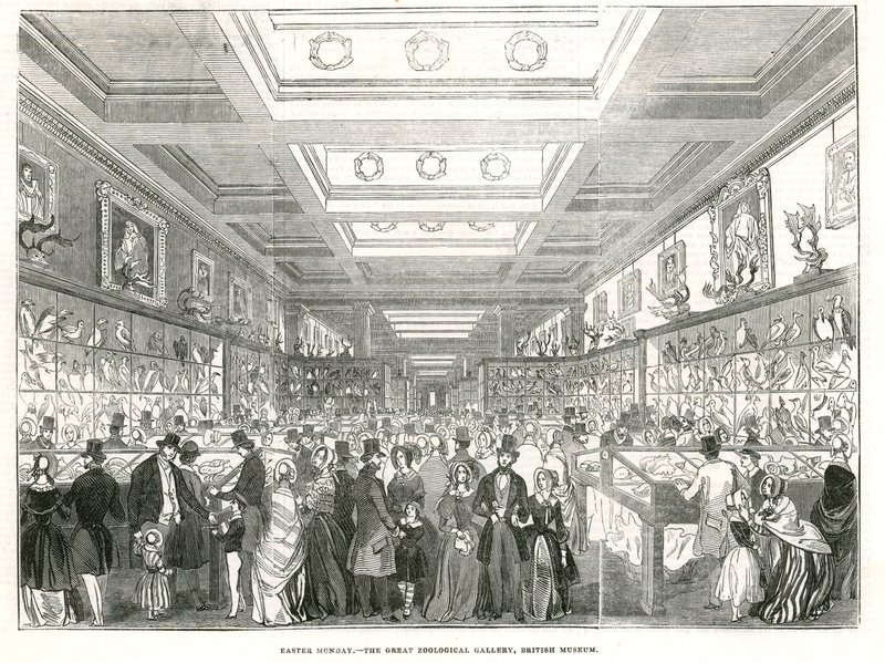 Húsvét hétfő – a Great Zoological Gallery, British Museum alkotó: English School