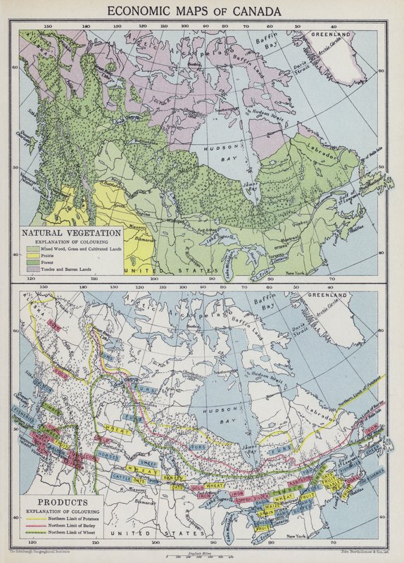 Kanada gazdasági térképei (színes litográfia) alkotó: English School