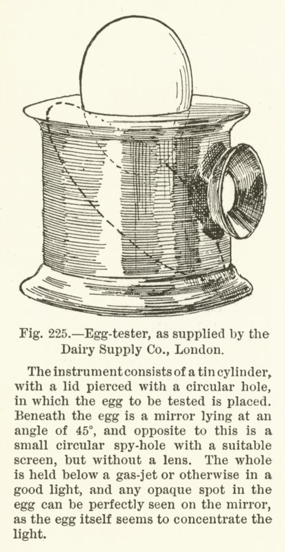 Tojás-tesztelő, amelyet a Dairy Supply Company szállít, London alkotó: English School