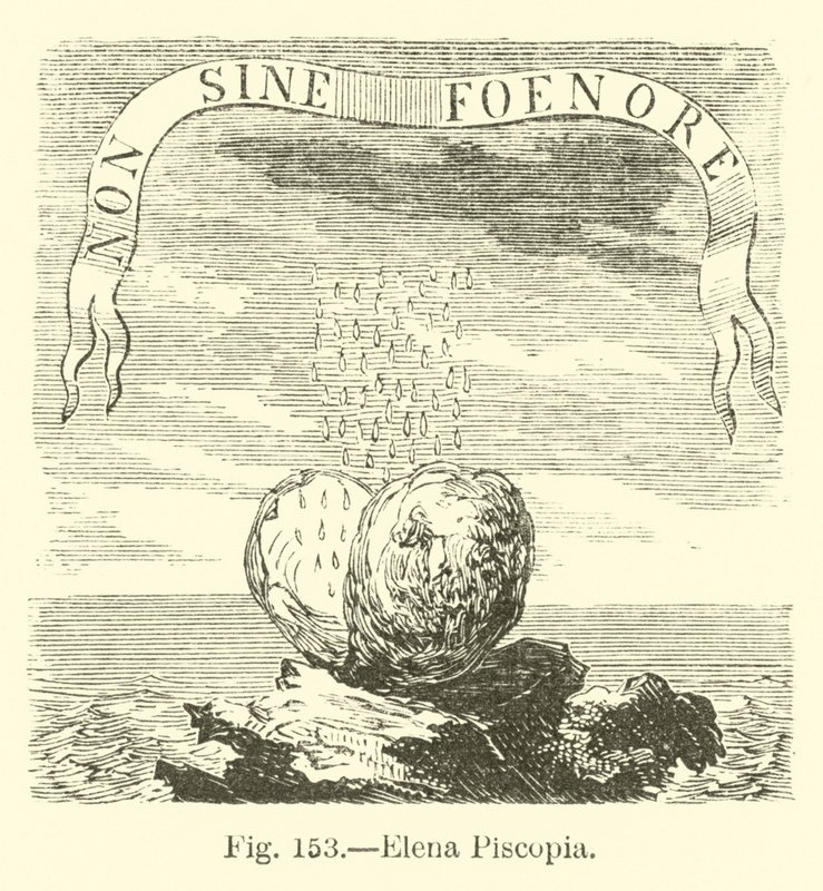 Elena Piscopia alkotó: English School