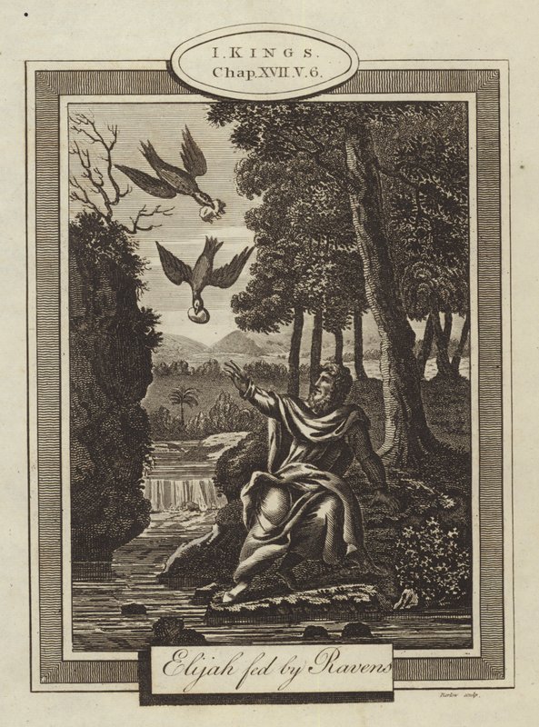 Illés táplálta Ravens, I Kings, XVII. fejezet, 6. vers (metszet) alkotó: English School