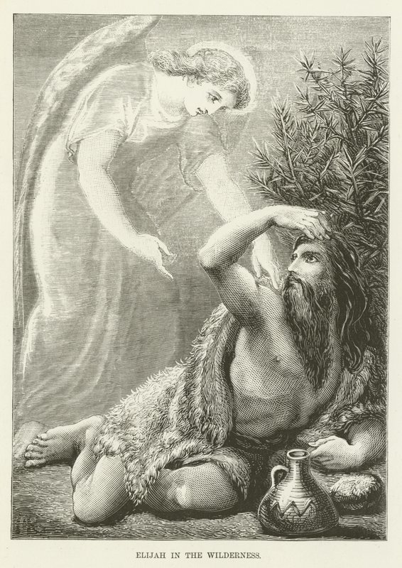 Illés a pusztában alkotó: English School