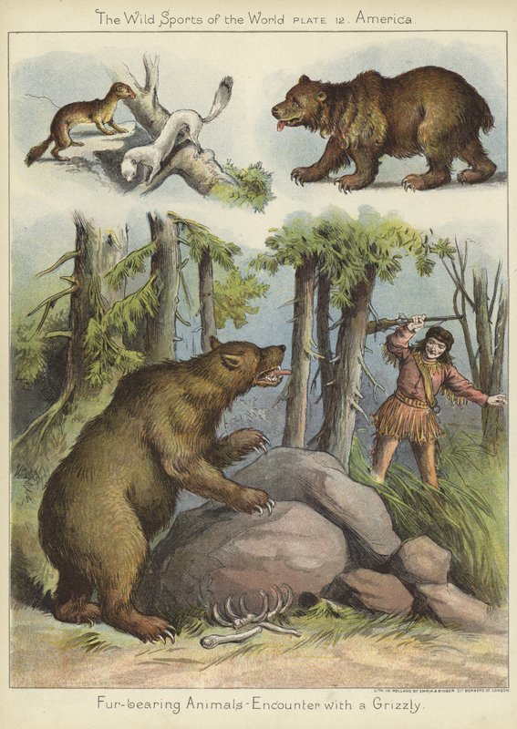 Találkozás egy grizzlyvel alkotó: English School