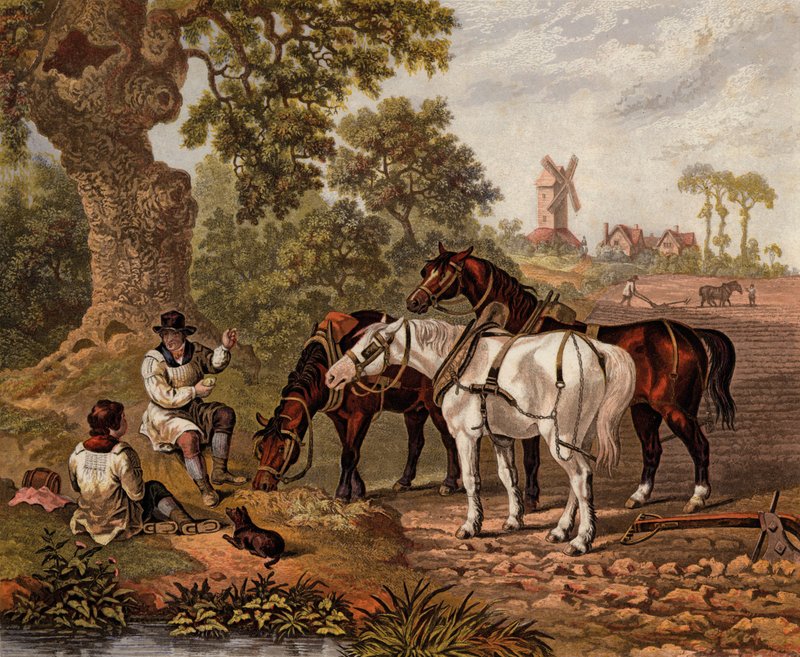 Angol farmerek szántanak (színes metszet) alkotó: English School