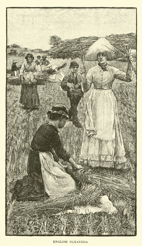 angol gleaners alkotó: English School