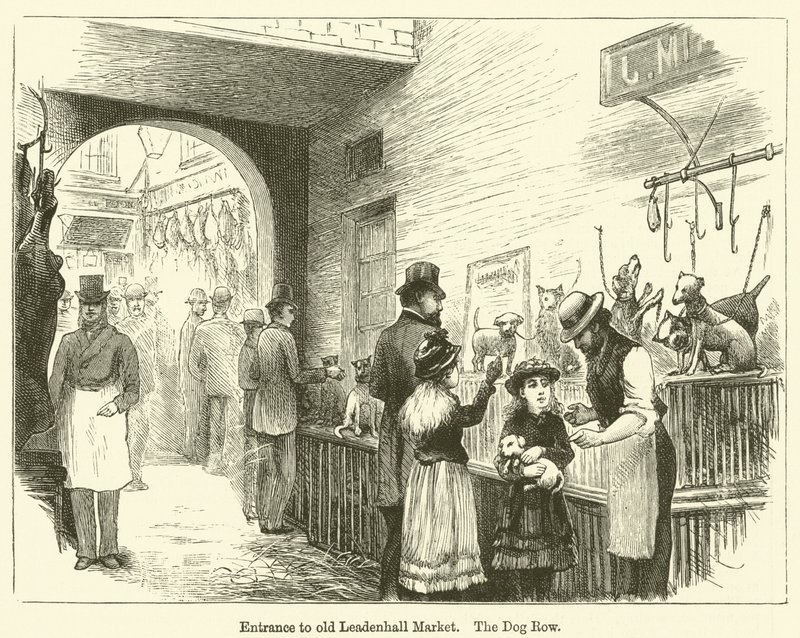 A régi Leadenhall piac bejárata, The Dog Row (metszet) alkotó: English School