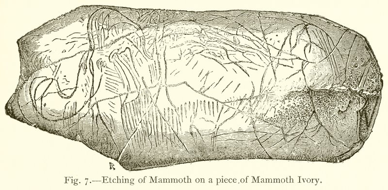 Mamut rézkarata egy mamut elefántcsont darabjára alkotó: English School