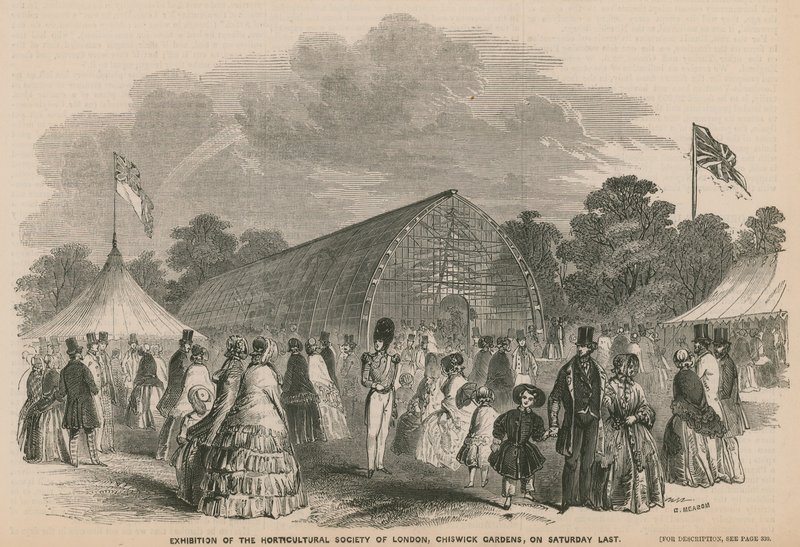 A Londoni Kertészeti Társaság kiállítása, Chiswick Gardens alkotó: English School