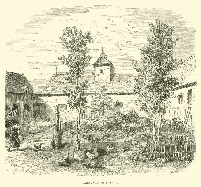 Farmyard Franciaországban alkotó: English School