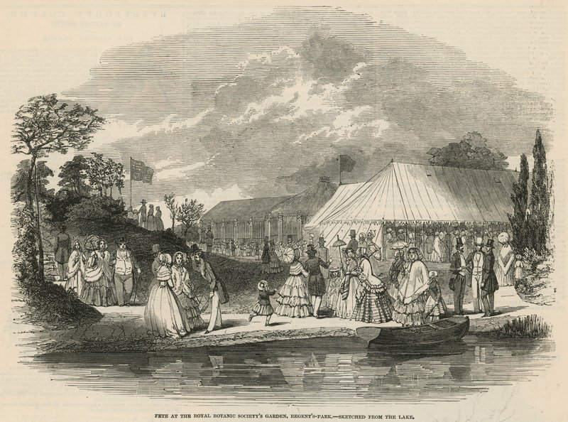 Ünnep a Royal Botanic Societys Gardenben alkotó: English School