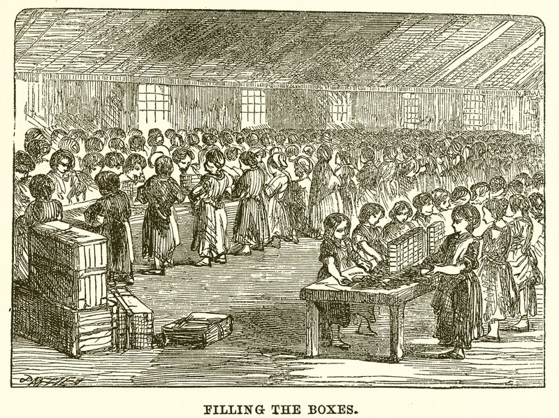 A dobozok kitöltése alkotó: English School