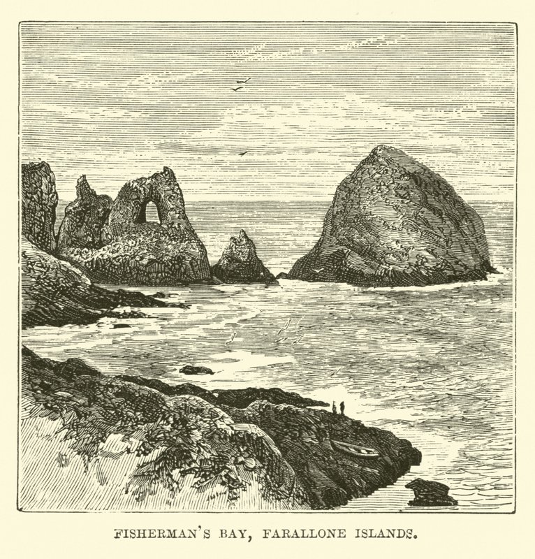 Fishermans Bay, Farallon-szigetek alkotó: English School