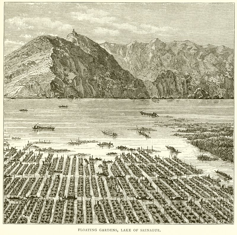 Úszó kertek, Srinagar-tó alkotó: English School