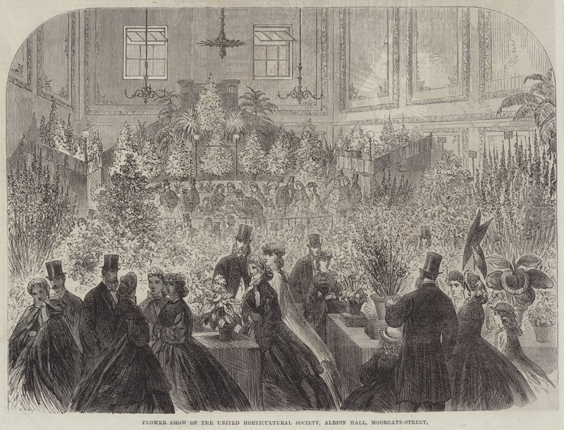Az Egyesült Kertészeti Társaság virágbemutatója, Albion Hall, Moorgate-Street (metszet) alkotó: English School