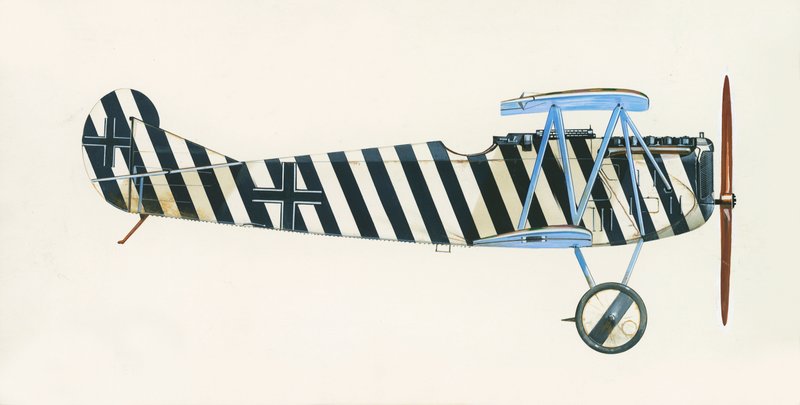 Fokker D VII alkotó: English School