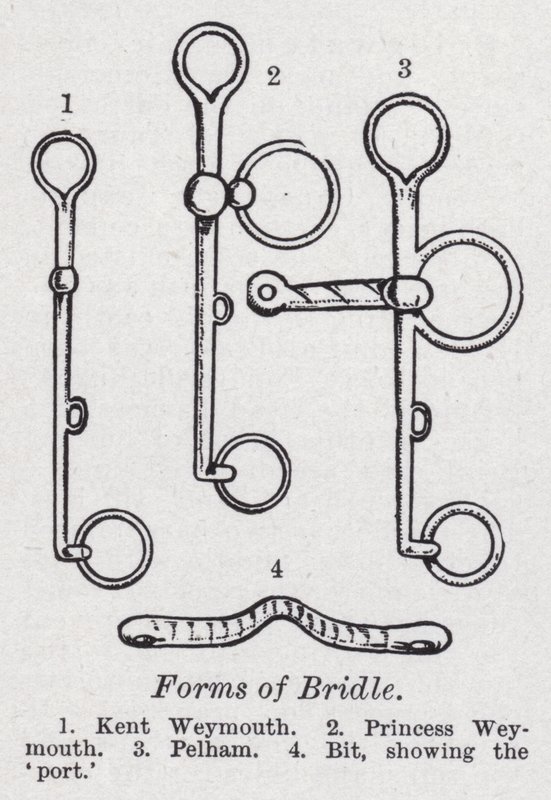 A kantár formái (litho) alkotó: English School
