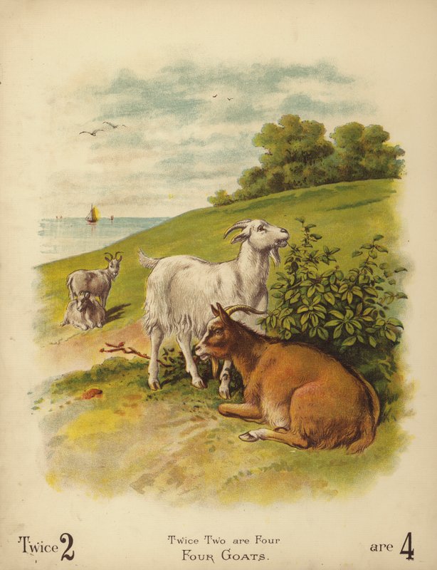 Négy kecske (chromolitho) alkotó: English School