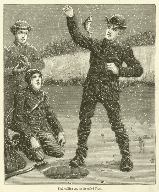 Fred kihúzza a pettyes pisztrángot (metszet) alkotó: English School
