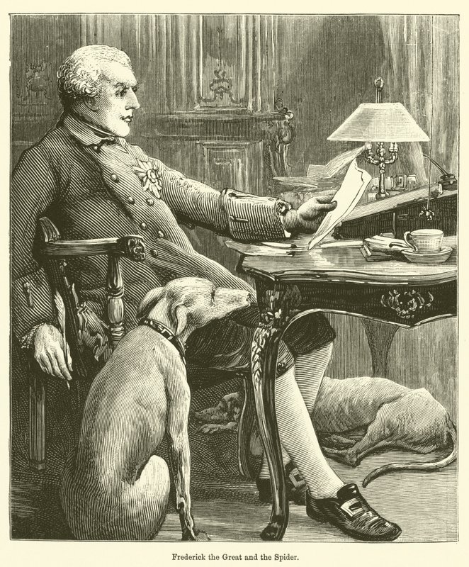 Nagy Frigyes és a pók alkotó: English School