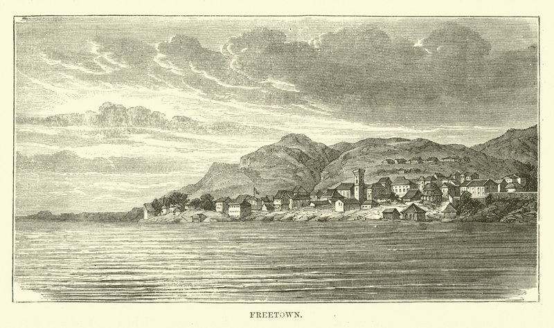 Freetown alkotó: English School
