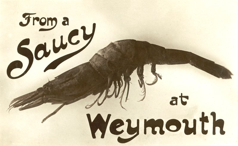 Weymouth-i pikáns garnélarákból, üdvözlőlap (litho) alkotó: English School