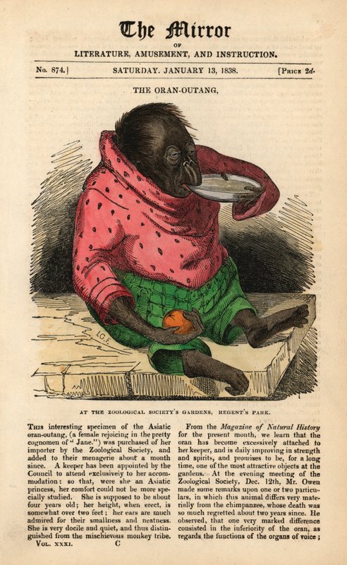 A The Mirror címlapja 1838. január 13-tól, egy orángután érkezését ünnepelve a londoni Regent
