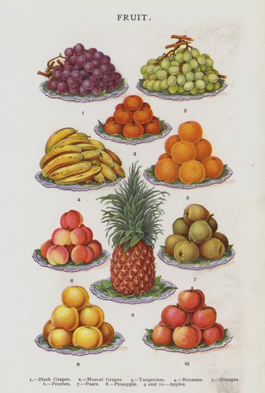 Gyümölcs (chromolitho) alkotó: English School