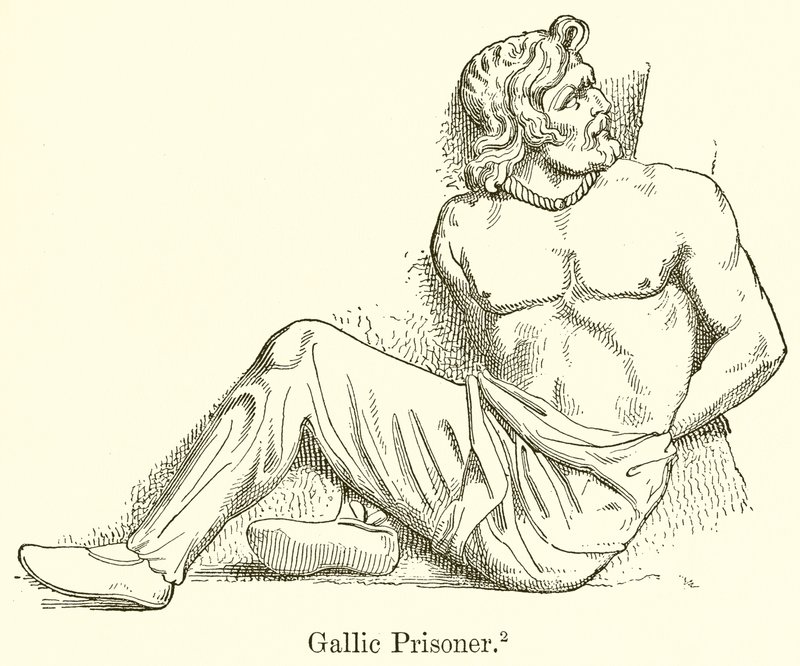 gall fogoly alkotó: English School