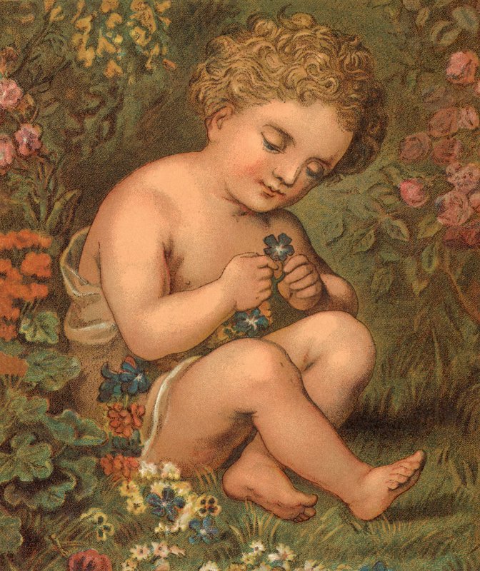 Kerti virágok (színes litho) alkotó: English School