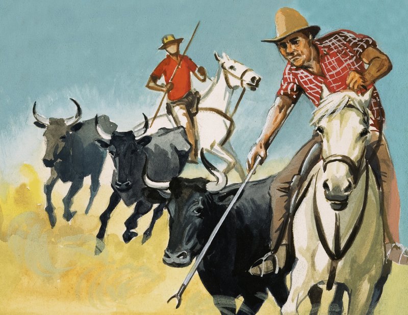 A camargue-i gardiánok alkotó: English School