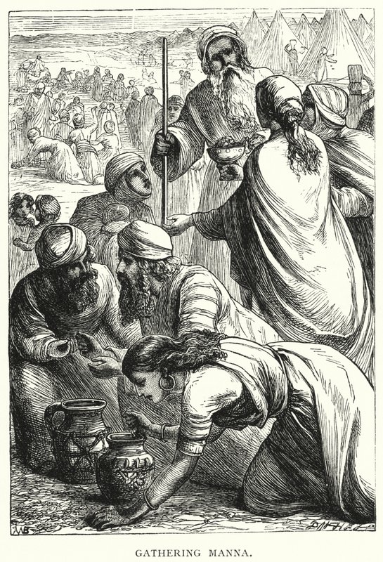 Manna gyűjtése (metszet) alkotó: English School