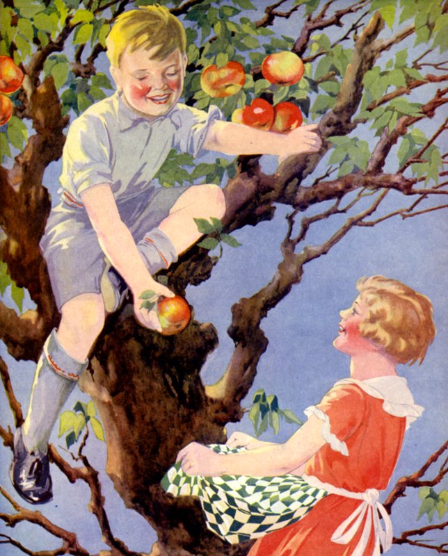 Az almatermés összegyűjtése (színes litho) alkotó: English School