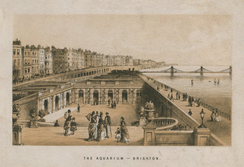 Az akvárium általános képe Brightonban alkotó: English School