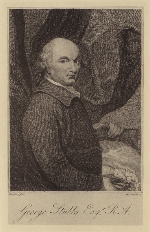George Stubbs alkotó: English School