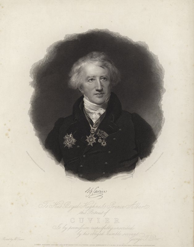 George Cuvier alkotó: English School