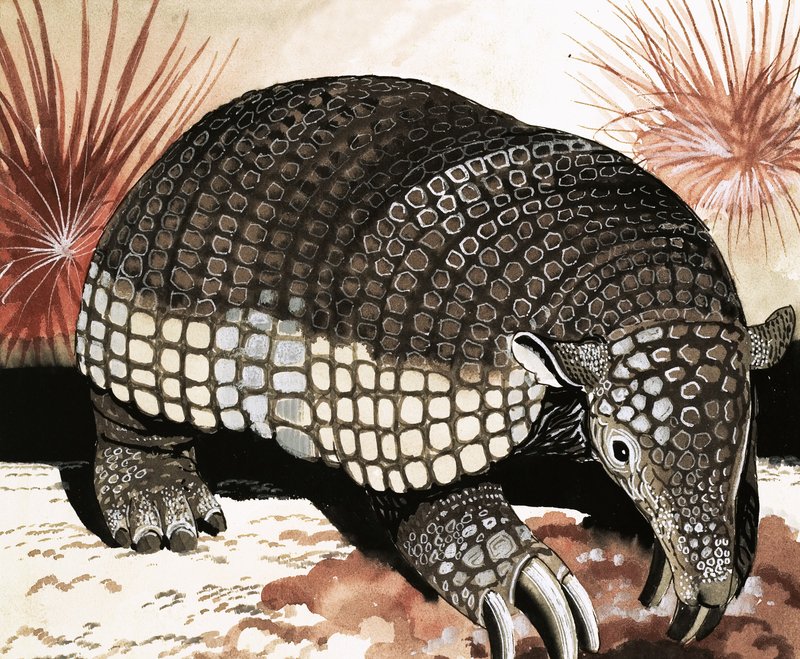 Giant Armadillo alkotó: English School